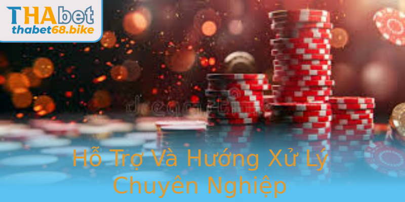 Hỗ Trợ Và Hướng Xử Lý Chuyên Nghiệp