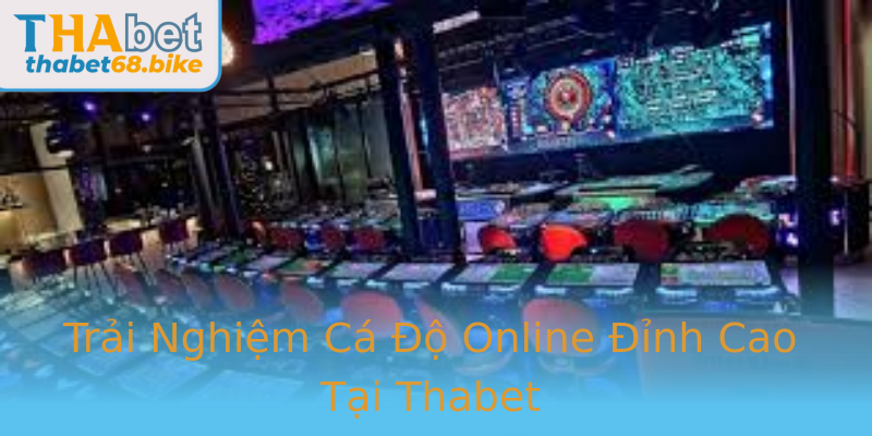 Trải Nghiệm Cá Độ Online Đỉnh Cao Tại Thabet