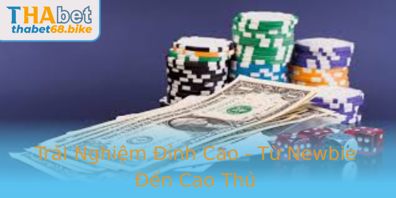 Trải Nghiệm Đỉnh Cao - Từ Newbie Đến Cao Thủ